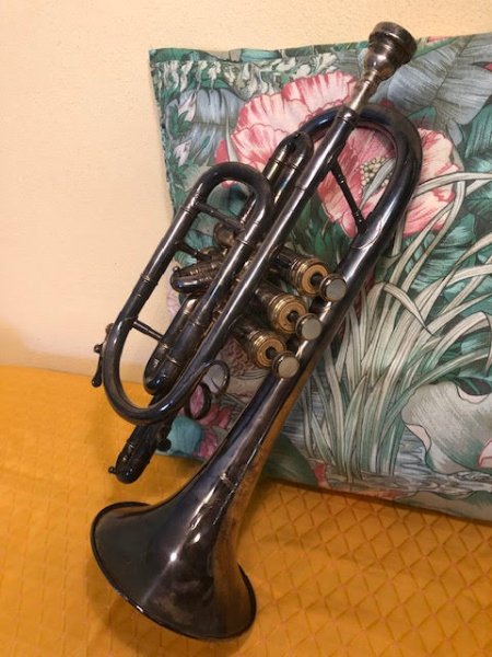 1 trompa , instrumento de viento