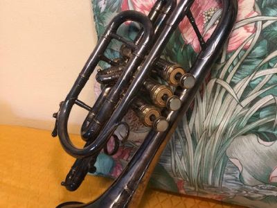 1 trompa , instrumento de viento