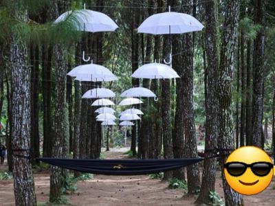 10 Hochzeitsschirme Partyschirme Dekoschirme Gartenschirne Terrassenschirme Ø 83cm NEU