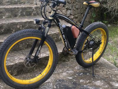 2 electric Fatbikes from Richbit