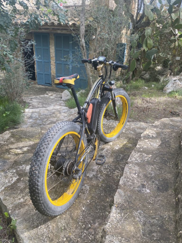 2 electric Fatbikes from Richbit