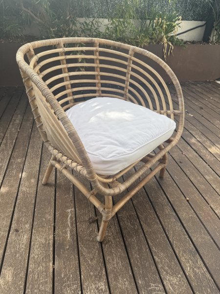 2 Gartenstühle mit Kissen