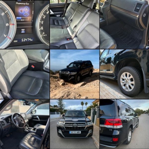 2 Household liquidations:Plants,