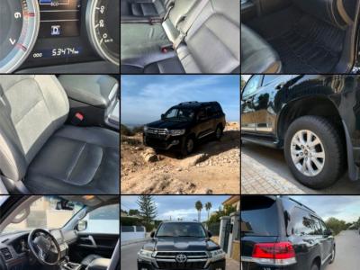 2 Household liquidations:Plants,