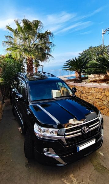 2 Household liquidations:Plants,