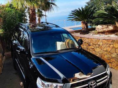 2 Household liquidations:Plants,