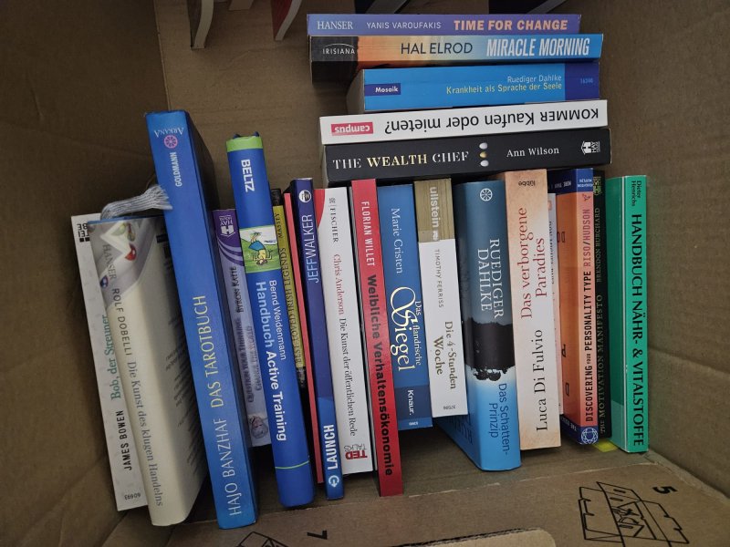 2 Kisten deutsche Bücher: Romane, Thriller & Sachbücher