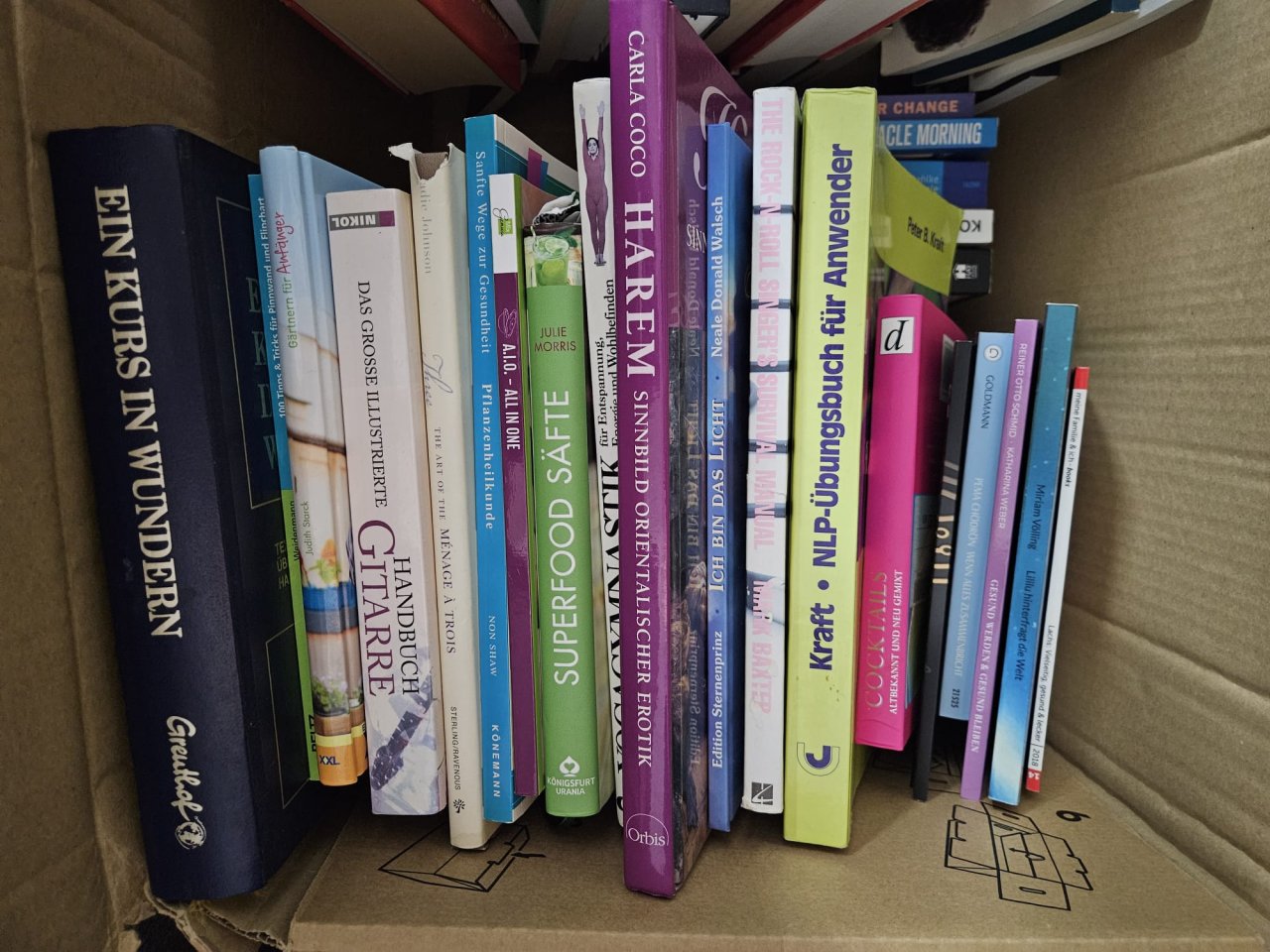 2 Kisten deutsche Bücher: Romane, Thriller & Sachbücher