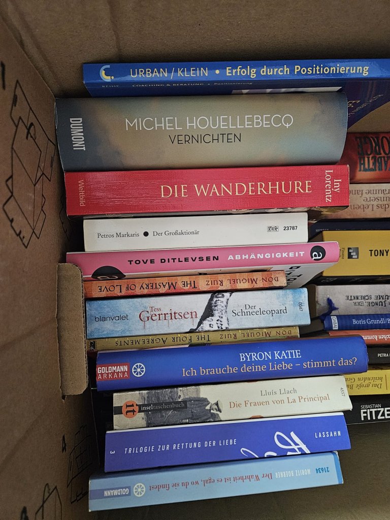 2 Kisten deutsche Bücher: Romane, Thriller & Sachbücher