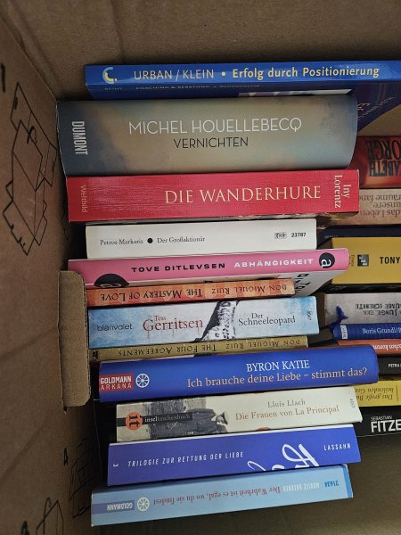 2 Kisten deutsche Bücher: Romane, Thriller & Sachbücher