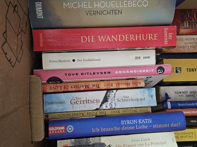 2 Kisten deutsche Bücher: Romane, Thriller & Sachbücher