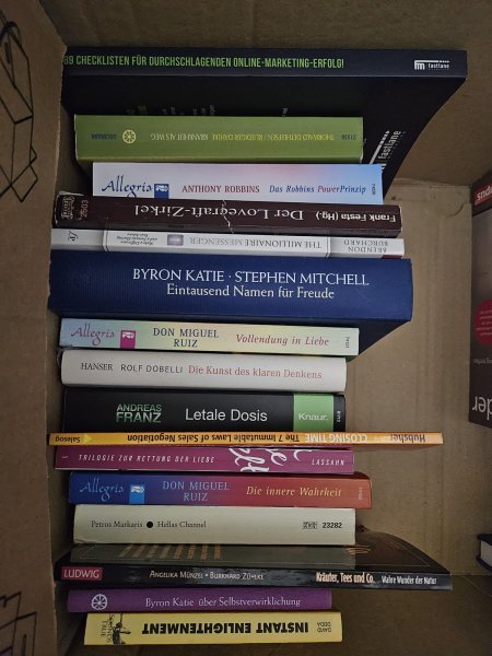 2 Kisten deutsche Bücher: Romane, Thriller & Sachbücher