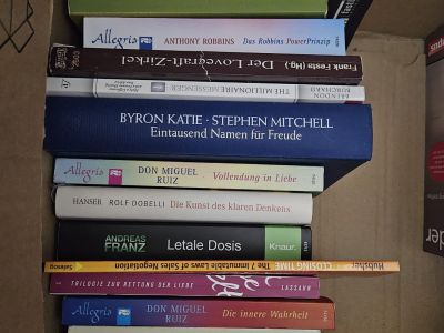 2 Kisten deutsche Bücher: Romane, Thriller & Sachbücher