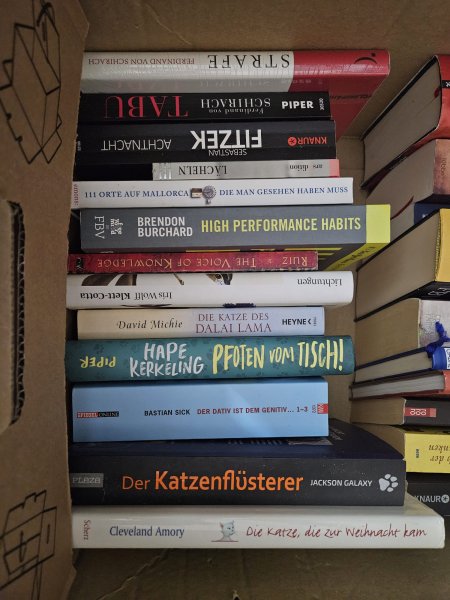 2 Kisten deutsche Bücher: Romane, Thriller & Sachbücher