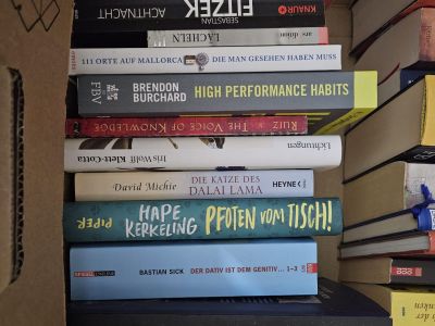 2 Kisten deutsche Bücher: Romane, Thriller & Sachbücher