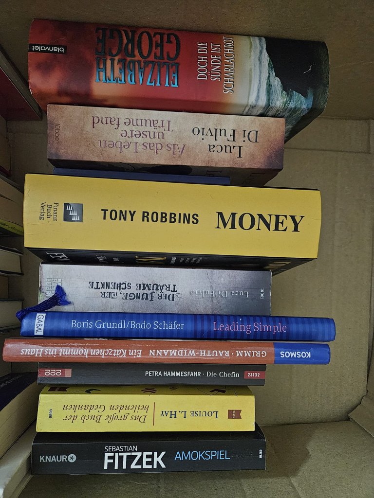 2 Kisten deutsche Bücher: Romane, Thriller & Sachbücher