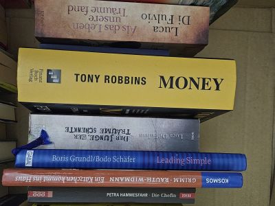 2 Kisten deutsche Bücher: Romane, Thriller & Sachbücher
