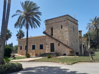 2 stöckige Finca mit sep. Gästeapartment und traumhaften Garten bei Ses Salines -- F 62 VK