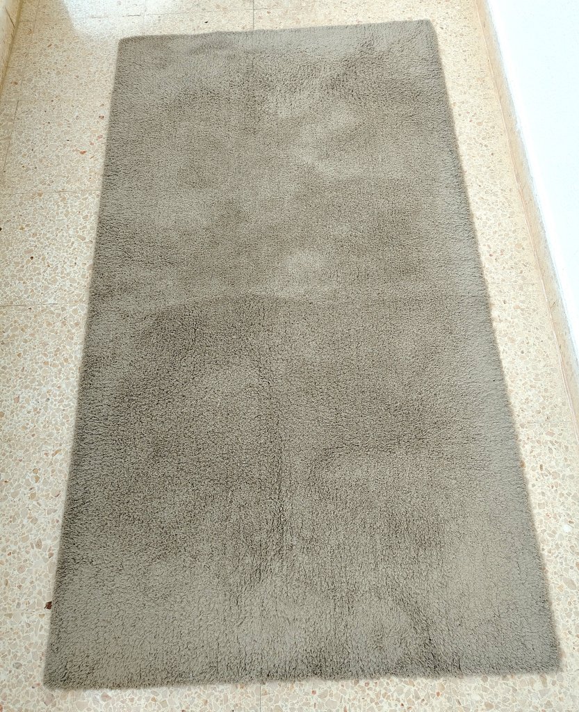 2 Teppiche neuwertig 150 x 80 cm