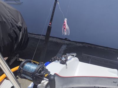 2023 Marinello Fisherman 16 + Motor Honda BF80 + Trailer 1300kg Motorboot Angelboot