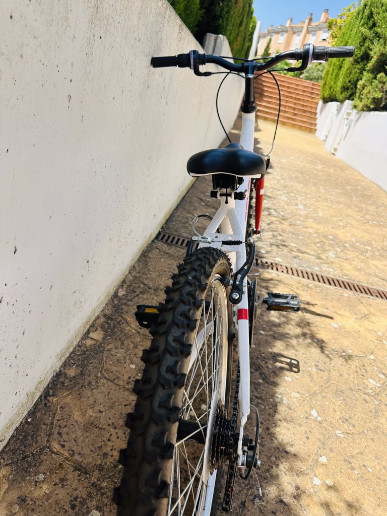 24 Zoll Mountainbike  neuwertig, nur wenige Male gefahren!