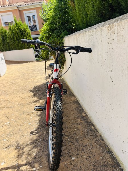 24 Zoll Mountainbike  neuwertig, nur wenige Male gefahren!