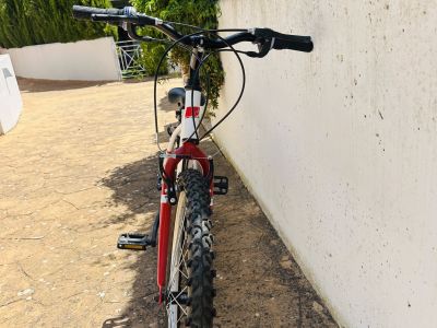 24 Zoll Mountainbike  neuwertig, nur wenige Male gefahren!