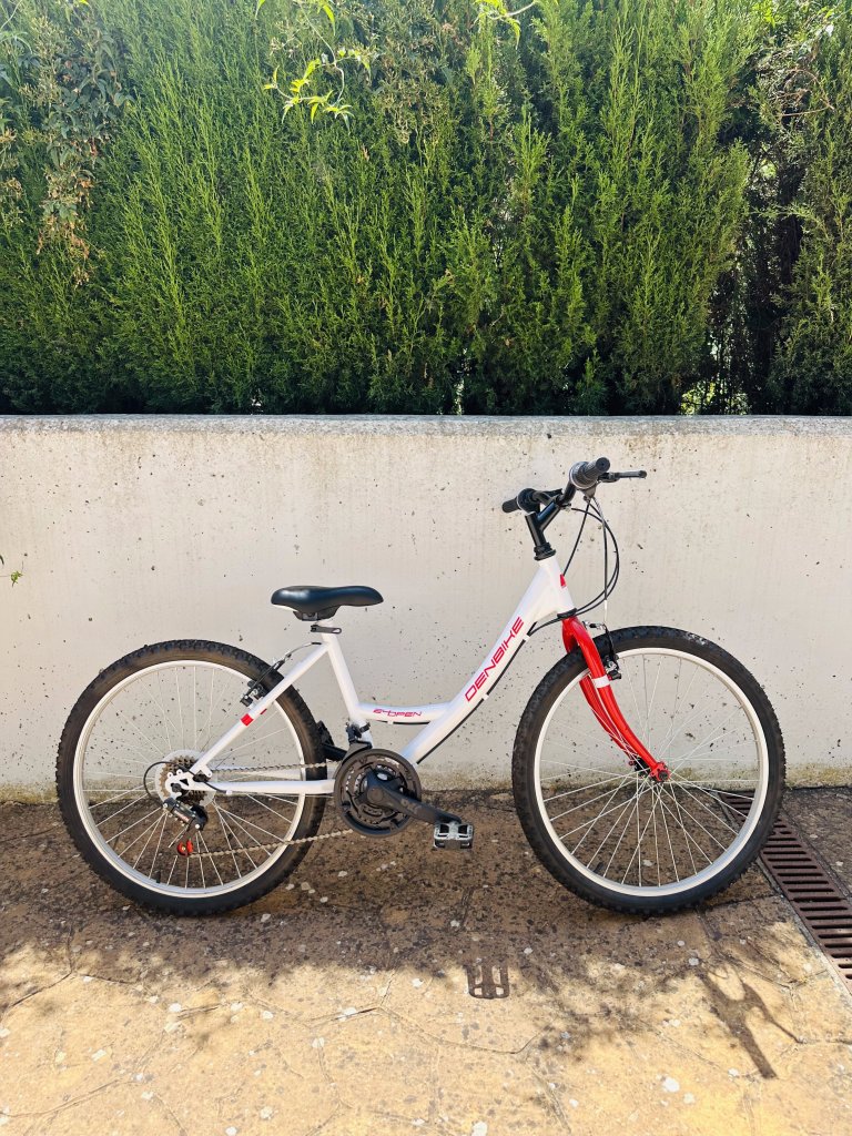 24 Zoll Mountainbike  neuwertig, nur wenige Male gefahren!