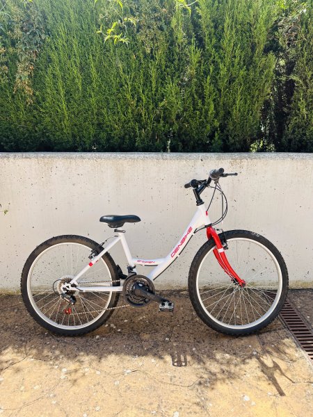 24 Zoll Mountainbike  neuwertig, nur wenige Male gefahren!