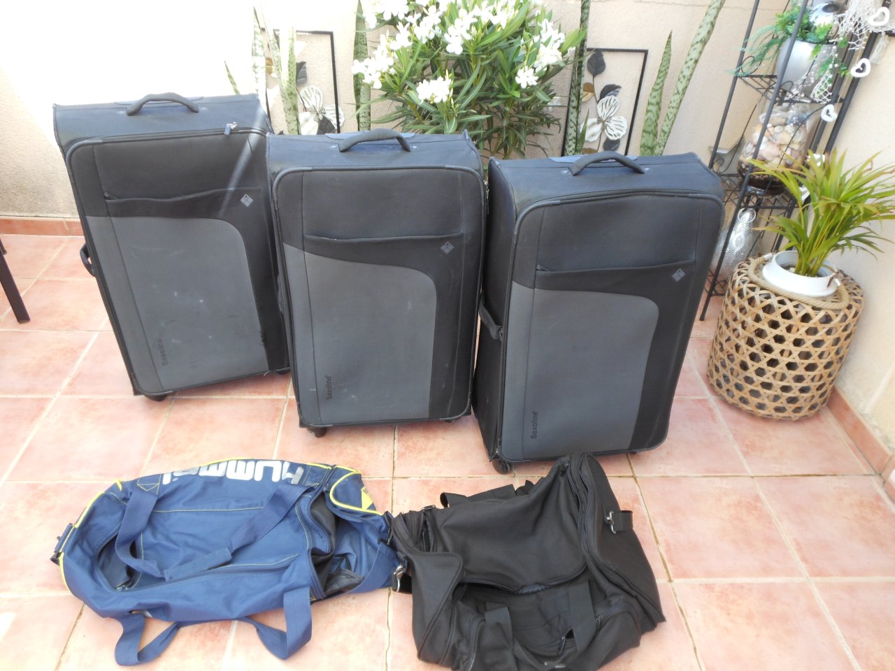 3 große Koffer von Saxoline + 2 Sporttaschen ( Markenware )