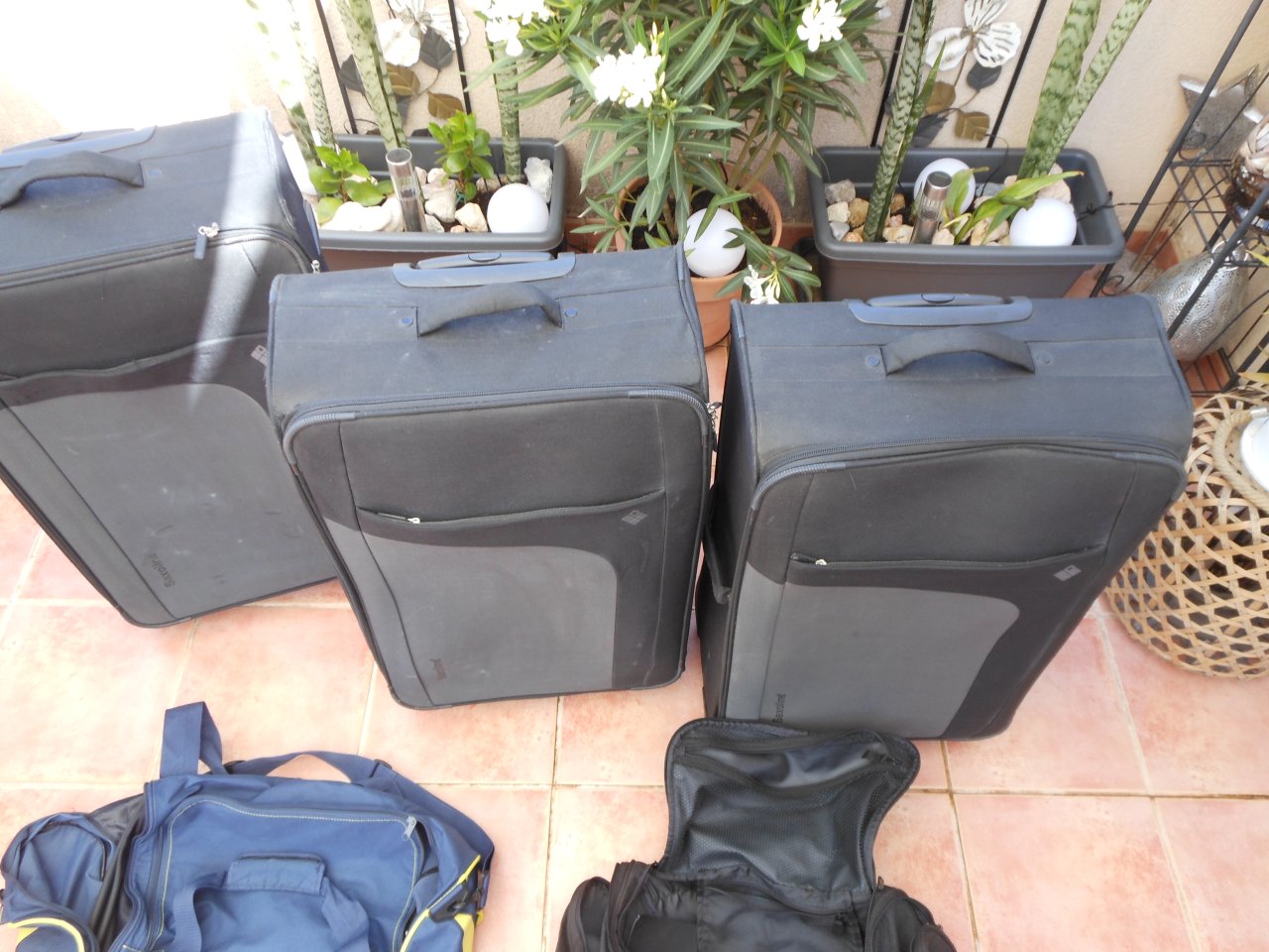 3 große Koffer von Saxoline + 2 Sporttaschen ( Markenware )