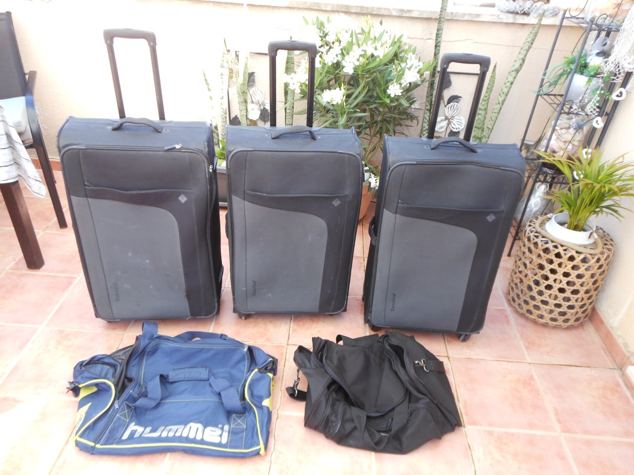 3 große Koffer von Saxoline + 2 Sporttaschen ( Markenware )