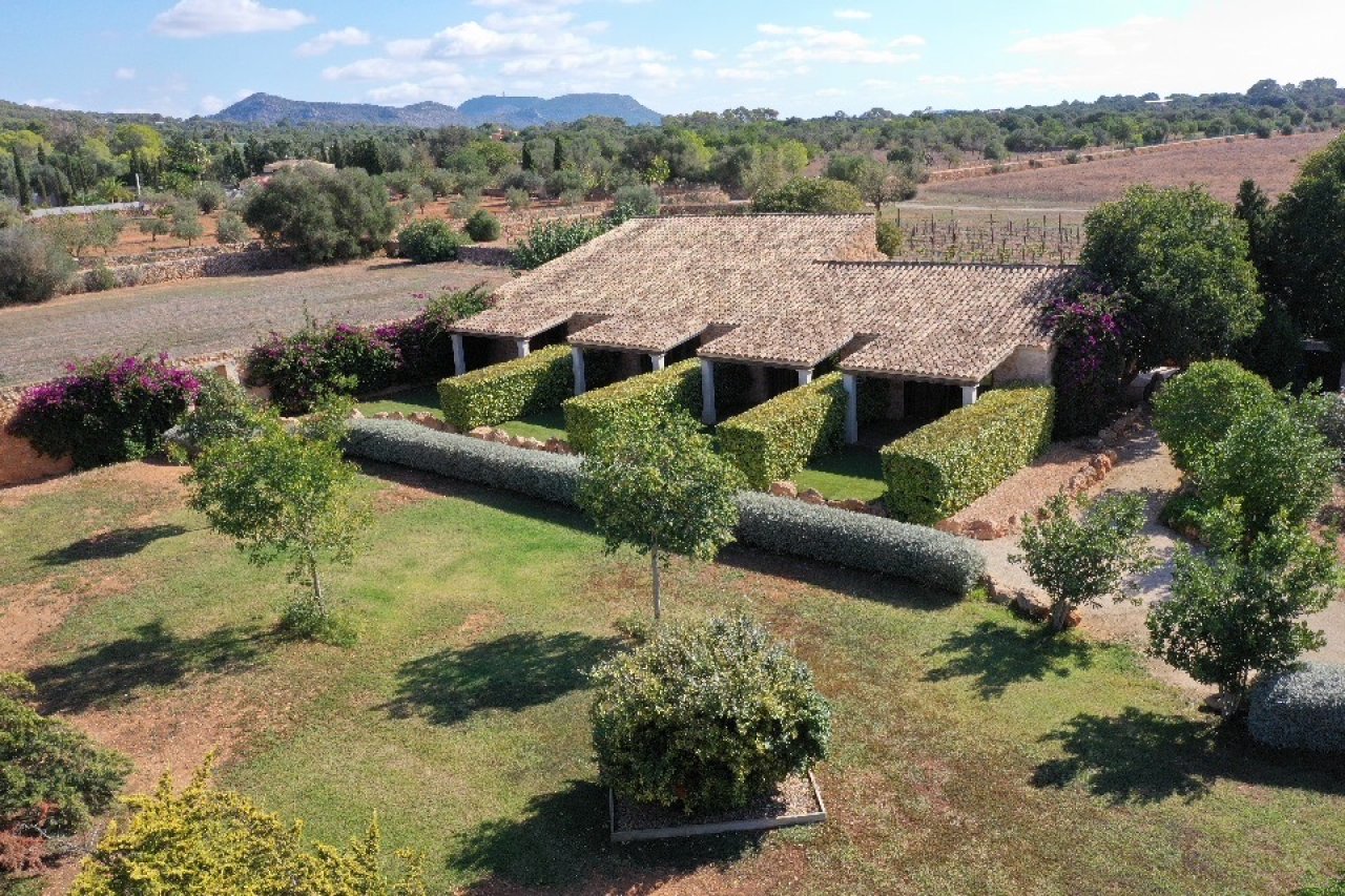 5 Luxus-Suiten