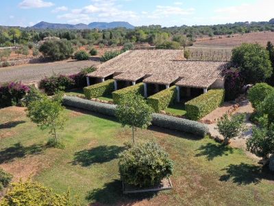 5 Luxus-Suiten