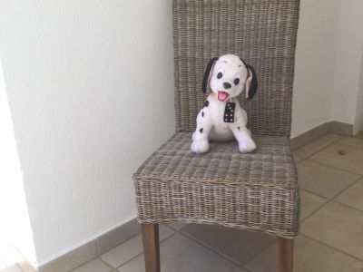 5 very beautiful high-quality chairs (Sillas)