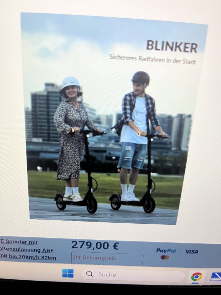 5TH WHEEL Elektroroller 350W Motor, 36V 7,5Ah, 32 km Reichweite, A