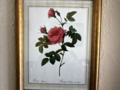 6 cuadros de rosas variados