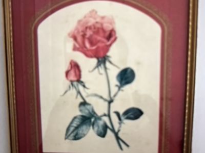 6 cuadros de rosas variados