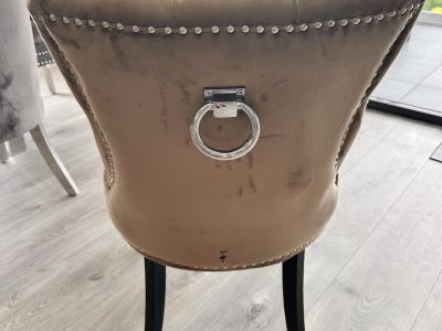 8 elegante Samt-Esszimmerstühle im Chesterfield-Stil mit Ringgriff  Komplettset (Palma)