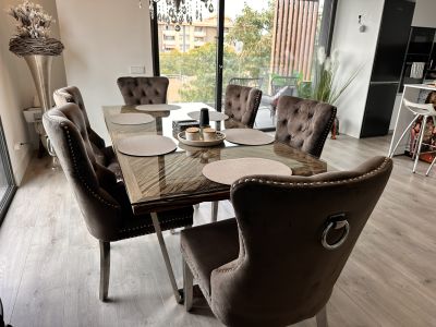 8 elegante Samt-Esszimmerstühle im Chesterfield-Stil mit Ringgriff  Komplettset (Palma)