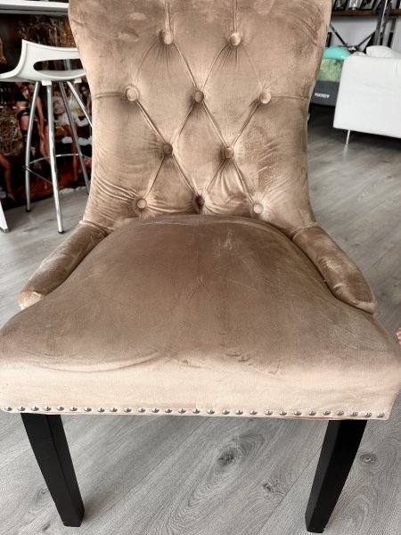 8 elegante Samt-Esszimmerstühle im Chesterfield-Stil mit Ringgriff  Komplettset (Palma)