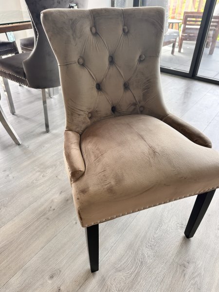 8 elegante Samt-Esszimmerstühle im Chesterfield-Stil mit Ringgriff  Komplettset (Palma)