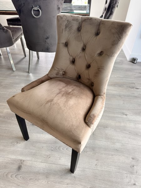 8 elegante Samt-Esszimmerstühle im Chesterfield-Stil mit Ringgriff  Komplettset (Palma)