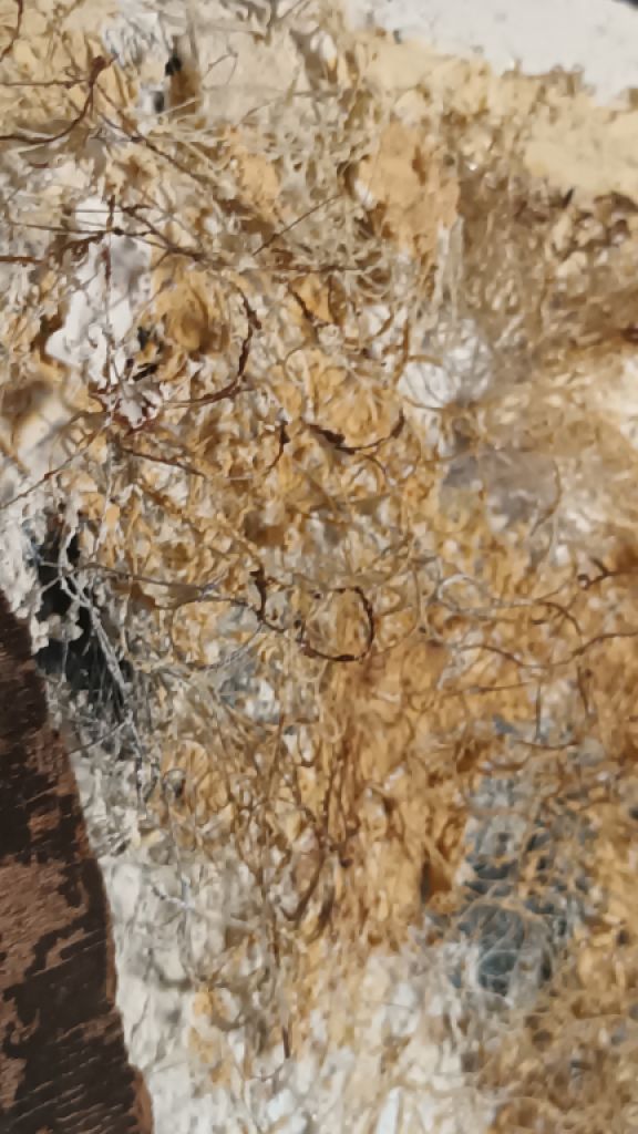 Acrylic image with natural materials