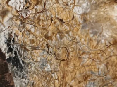 Acrylic image with natural materials