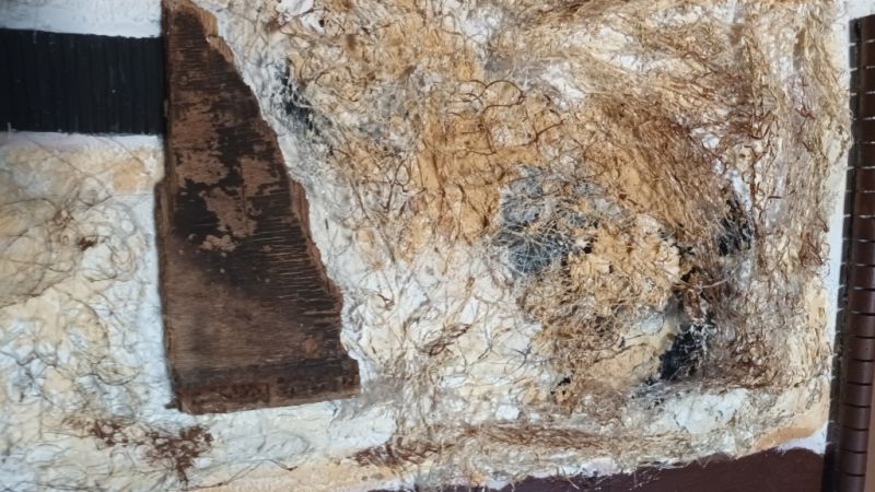 Acrylic image with natural materials