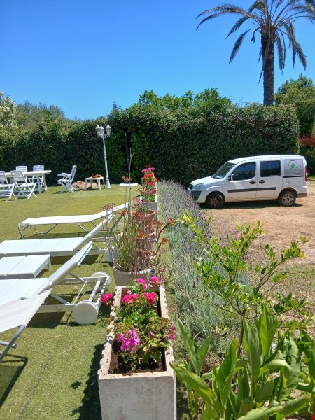 Alle Gartenarbeiten
