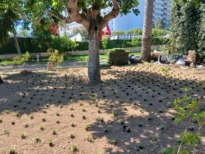 Alle Gartenarbeiten