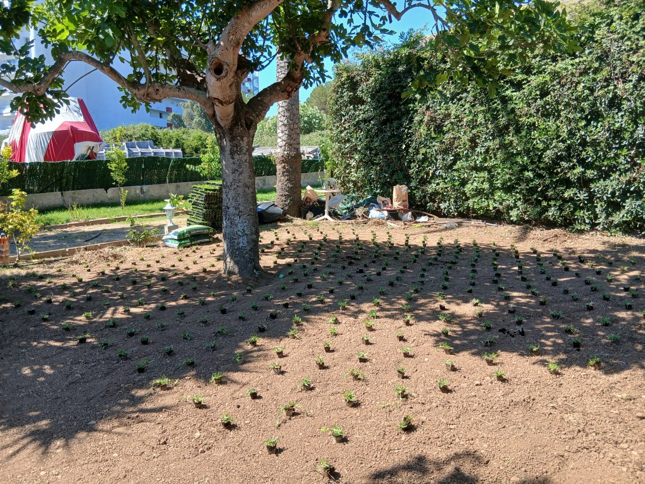 Alle Gartenarbeiten