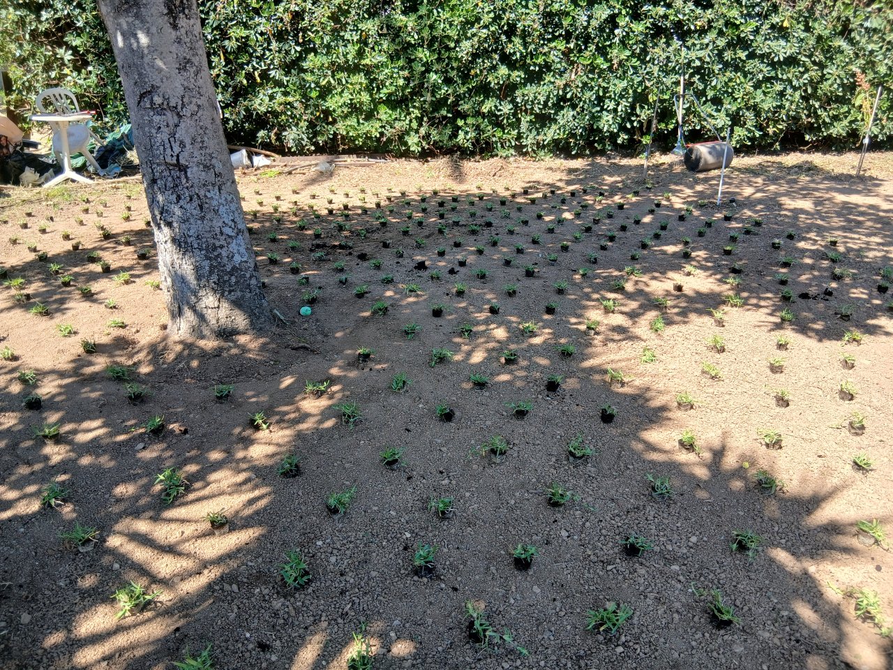 Alle Gartenarbeiten